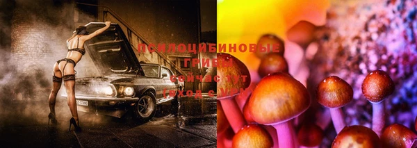 a pvp Михайлов