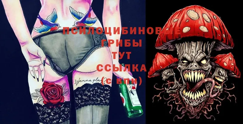 наркошоп  Ялуторовск  Псилоцибиновые грибы мухоморы 