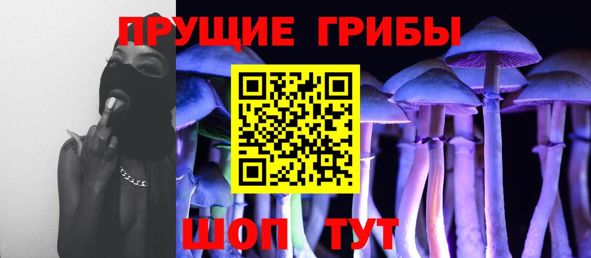 Псилоцибиновые грибы GOLDEN TEACHER  Псилоцибиновые грибы GOLDEN TEACHER  Ялуторовск  Вход с VPN 